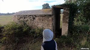 Image result for New Forest/Waterside