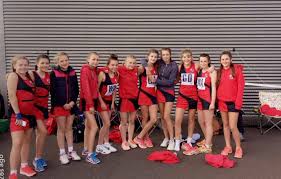 Image result for Treforus Netball Club