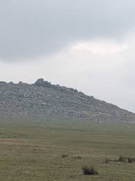 Image result for bodmin moor