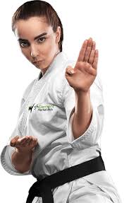 Image result for Full Element Mixed Martial Arts