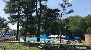 Image result for Dolphins Sheltered & Disabled Swim Club