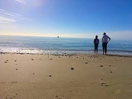 Image result for Pagham Cricket Club