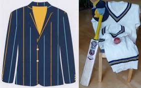 Image result for Bromham Nomads Cricket Club