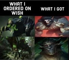 Image result for Warwick Wolves