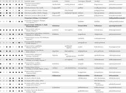 Attēlu rezultāti vaicājumam “Atrichum flavisetum sporophyte”