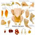CHICKEN PARTS products, buy CHICKEN PARTS products from alibaba.