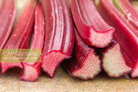 Attēlu rezultāti vaicājumam “Rheum rhabarbarum fruit”