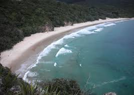 Image result for new chums beach