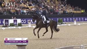 Image result for Interfreestyle Sport Karate