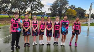 Image result for Titans Netball Club