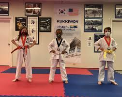 Image result for COMBAT TAEKWONDO