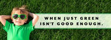 Image result for green ...ed=0CEIQsAQwAw