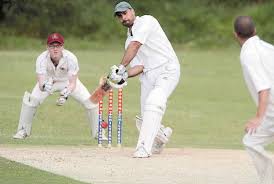 Image result for Ballinger Waggoners Cricket Club