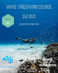 Image result for Blue Water Freediving School