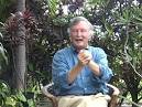 Rheumatoid Arthritis Remedies: Anti-inflammatory Diet and Supplements