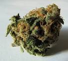 marijuana coverage by - gothamist