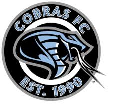 Image result for Cobra Running Club