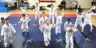 Image result for Tora-Kai Judo