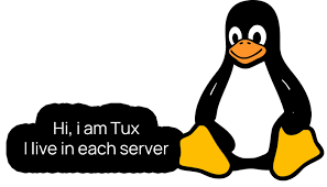 Image result for linux tux