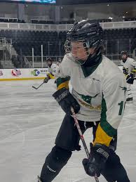 Image result for Leigh Hockey Club