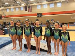 Image result for Focus Institute of Gymnastics
