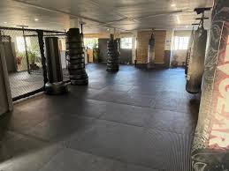 Image result for Bristol Dojo MMA