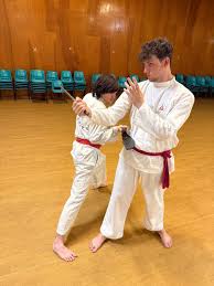 Image result for Silat Pd (Perisai Diri) UK