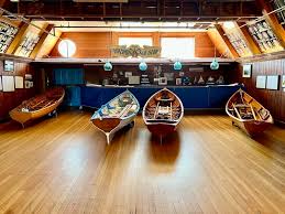 Image result for Dolphin Badminton Club