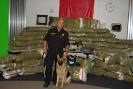 Police Canines, Working K-9's, Belgian Malinois, German &amp; Dutch ...