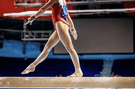 Image result for Focus Institute of Gymnastics