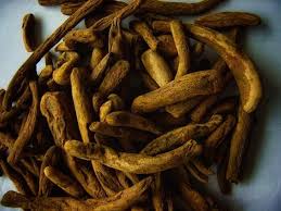 Attēlu rezultāti vaicājumam “Rheum rhabarbarum fruit”