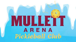 Image result for Motiv8 Pickleball Club