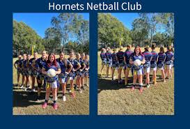 Image result for Hornets Netball Club