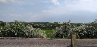 Image result for Crewe Cricket Club