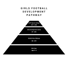 Image result for United in the Community - Skegness Player Development Centres