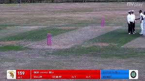 Image result for North Perrott Cc
