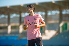 Image result for Ince Rosebridge Sports & Community Club