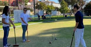 Image result for Bristol Croquet Club