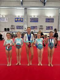 Image result for Mansfield Olympic Gymnastics Club