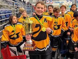 Image result for Perth Junior Ice Hockey Club