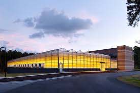 Attēlu rezultāti vaicājumam “Medicago”