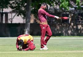 Image result for Godmanchester Town Cricket Club