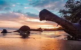 Image result for cahuita costa rica