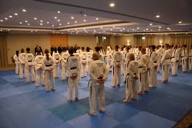 Image result for Wantage TAGB Tae Kwon-Do