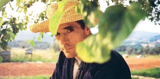 Image result for beleza roubada