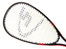Image result for Optimum Speedminton Club