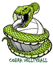 Image result for Cheltenham Cobras Volleyball Club