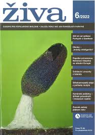 Attēlu rezultāti vaicājumam “Claustria didermoides stalked”