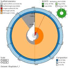 Attēlu rezultāti vaicājumam “Eupithecia subumbrata larva”