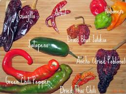 Afbeeldingsresultaat voor chile de arbol hot pepper